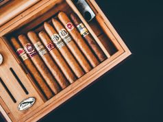 Gurkha Sample Pack Orange, Tekli Kalın Puro ve Backwoods Honey Berry cigarshousetr2