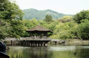 Gülbahar Sultan’ın Hayatı ve Osmanlı Sarayındaki İzleri gulbahar sultan s life